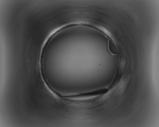 X0000086750943200704131148