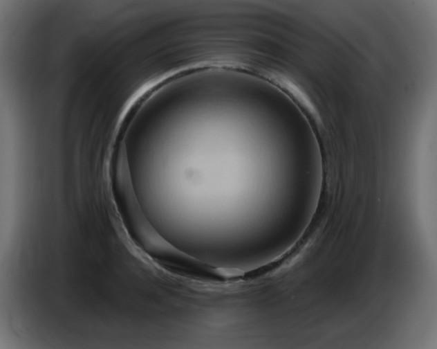 X0000086750944200704131148