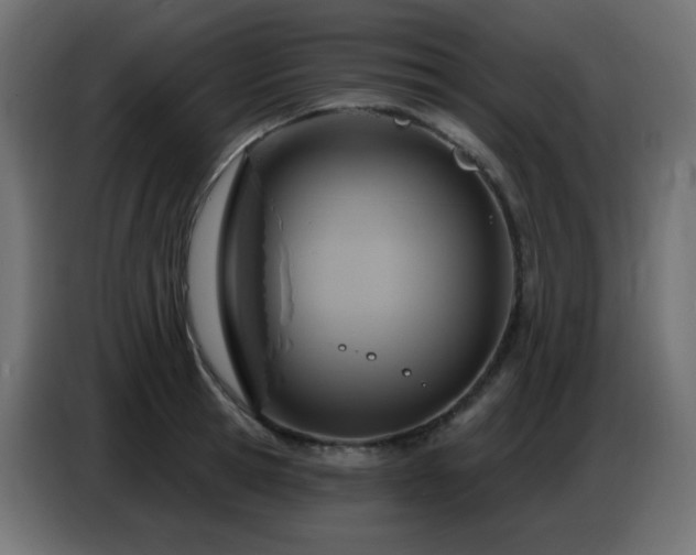 X0000086750945200704131148