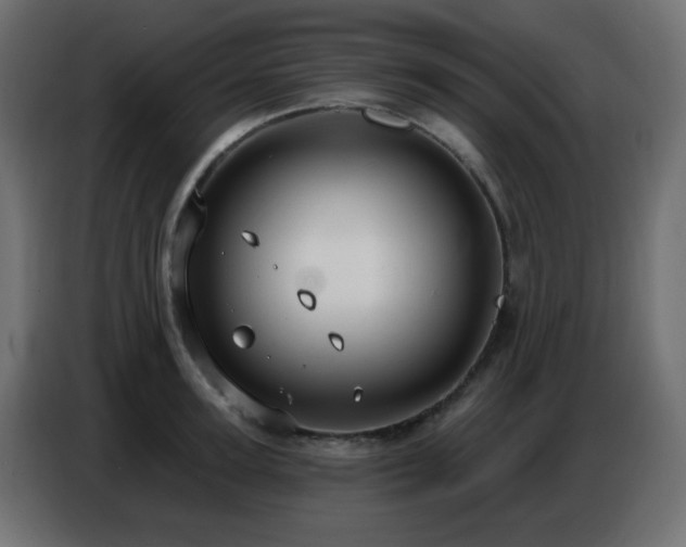 X0000086750947200704131148