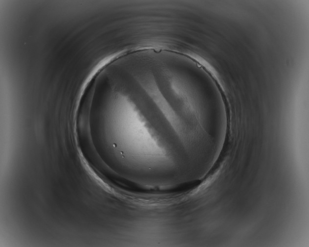 X0000086750949200704131148