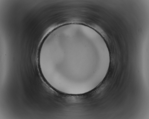 X0000086750950200704131148