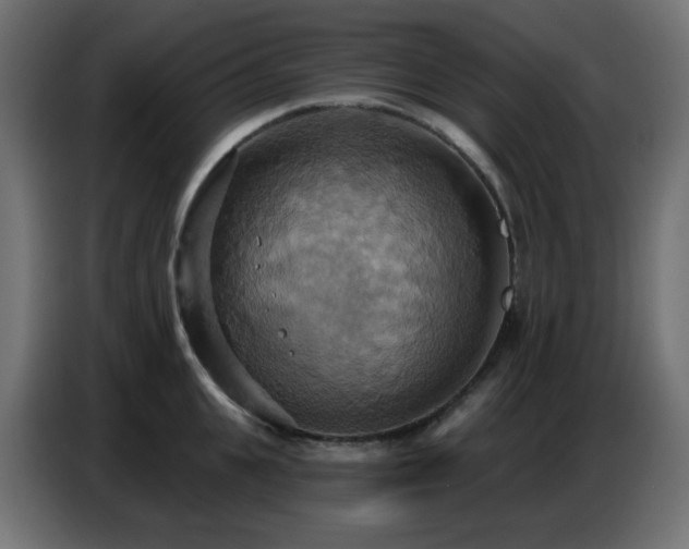 X0000086750951200704131148