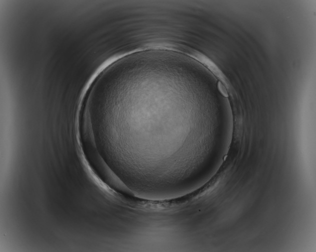 X0000086750955200704131148
