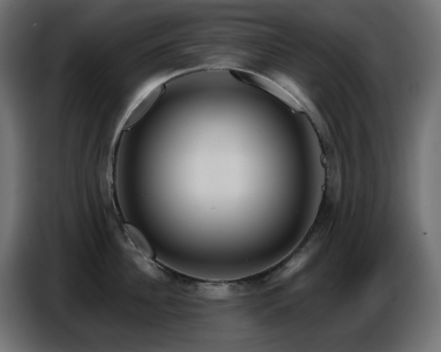 X0000086750956200704131148