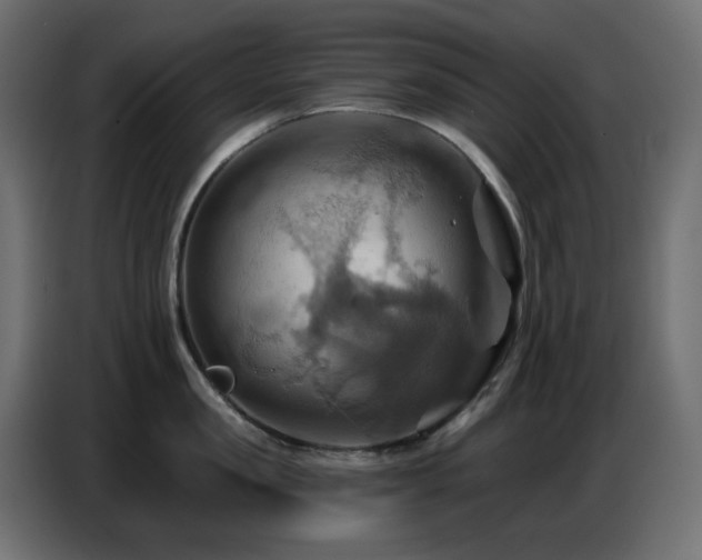 X0000086750957200704131148