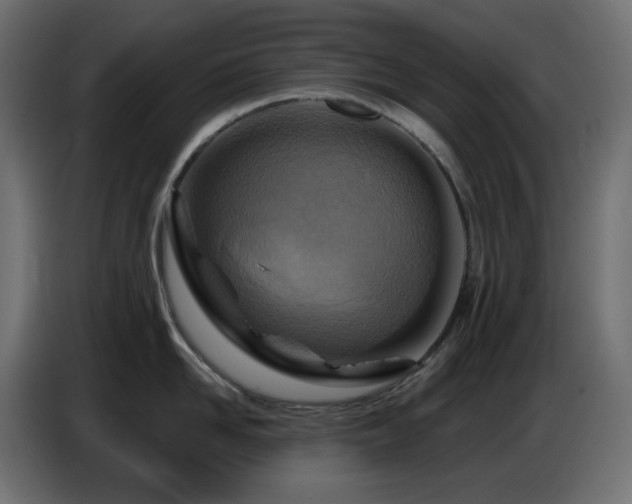 X0000086750958200704131148