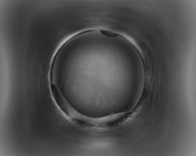 X0000086750959200704131148