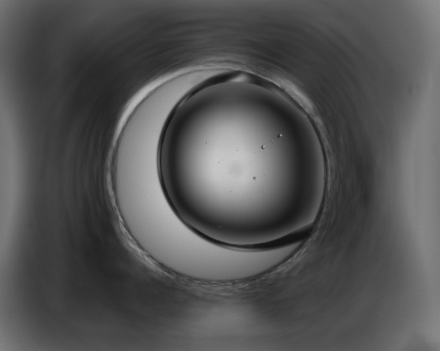 X0000086750960200704131148