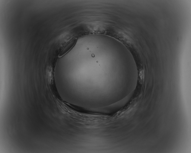 X0000086750963200704131147