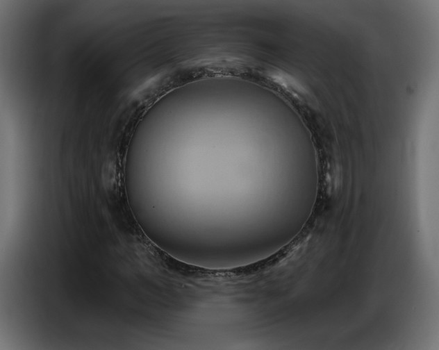 X0000086750966200704131147