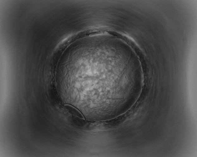 X0000086750967200704131147