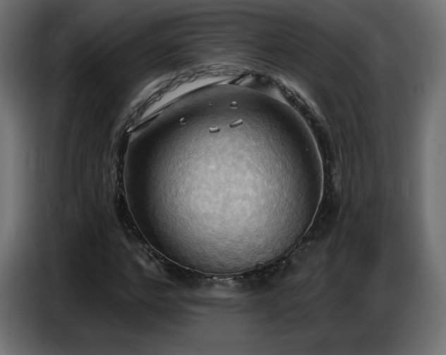 X0000086750968200704131147