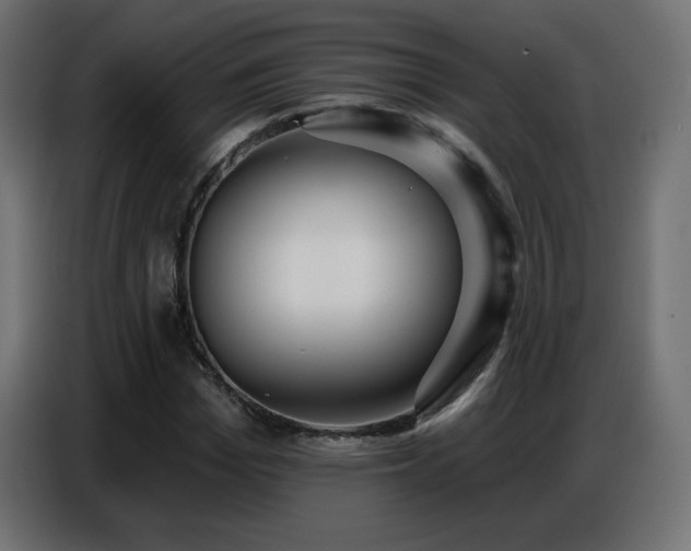 X0000086750969200704131147