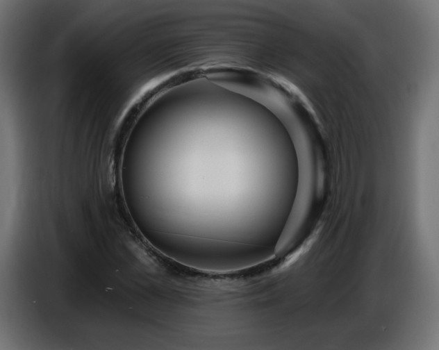 X0000086750973200704131147