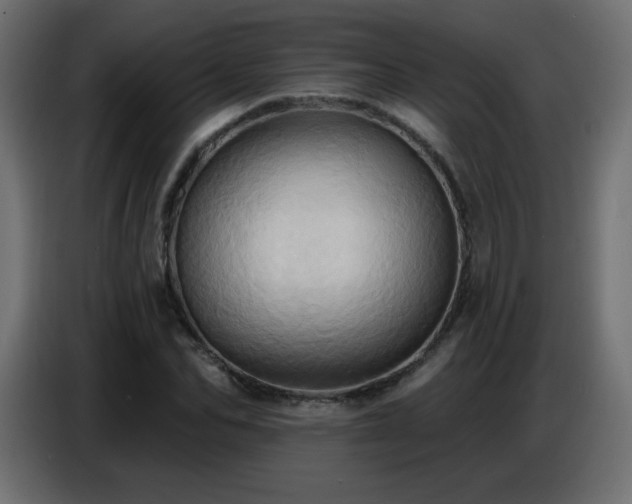 X0000086750974200704131147