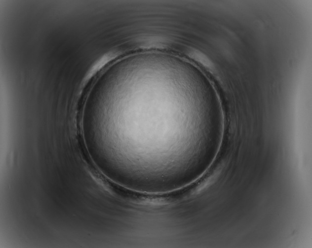 X0000086750978200704131147