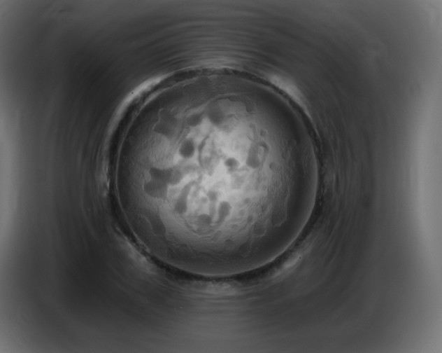 X0000086750979200704131147