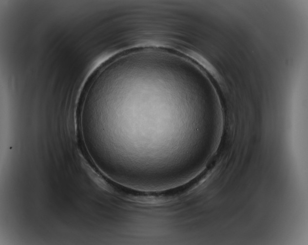 X0000086750980200704131147