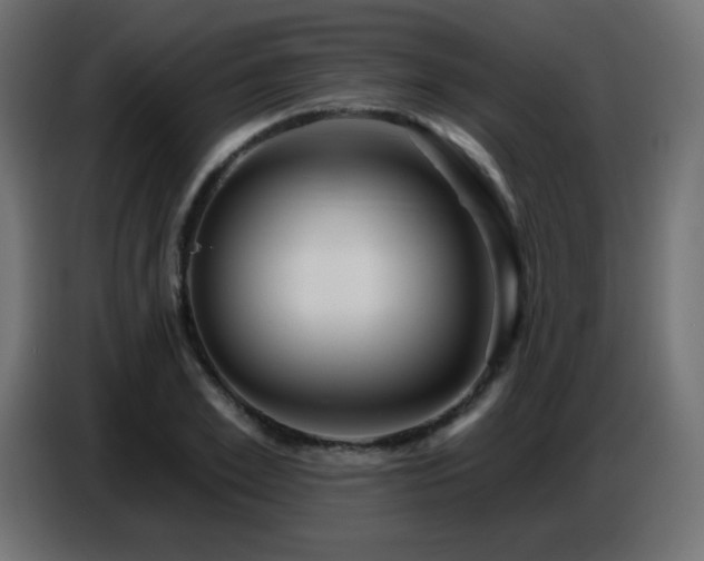 X0000086750981200704131147