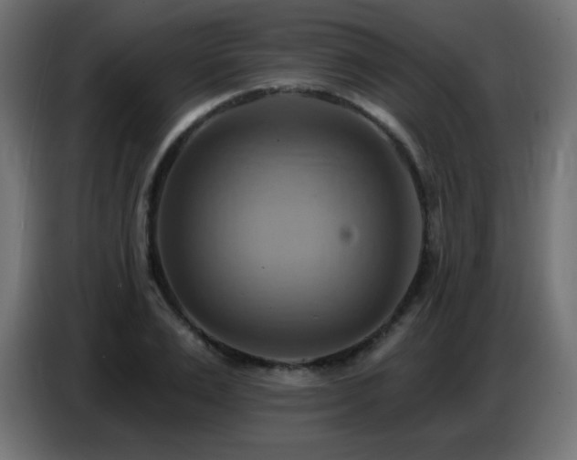 X0000086750983200704131147