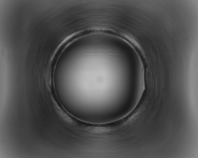 X0000086750984200704131147