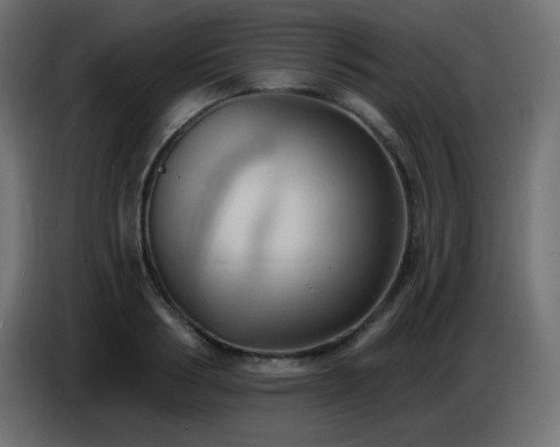 X0000086750986200704131147