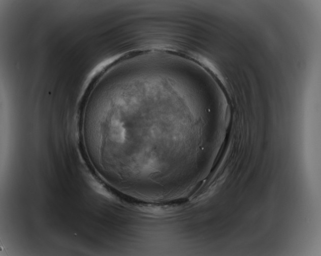 X0000086750987200704131147