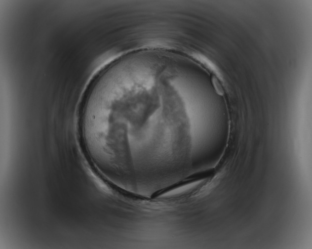 X0000086750991200704131147