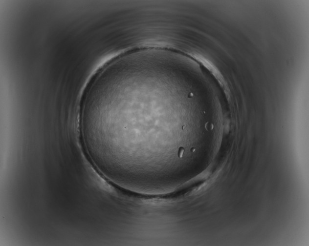 X0000086750992200704131147