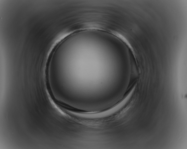 X0000086750995200704131147