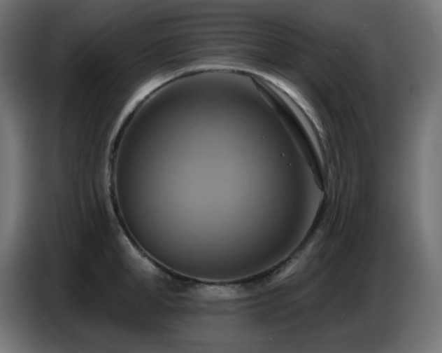 X0000086750998200704131147