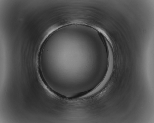 X0000086750999200704131147