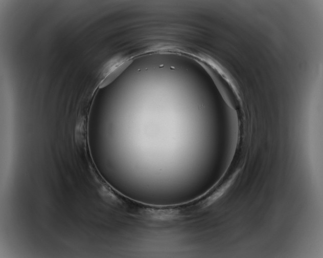 X0000086751001200704131147