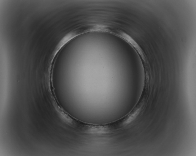 X0000086751002200704131147