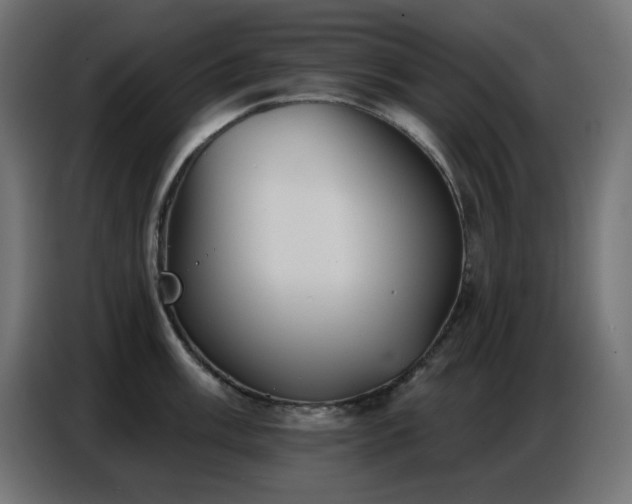 X0000086751003200704131147
