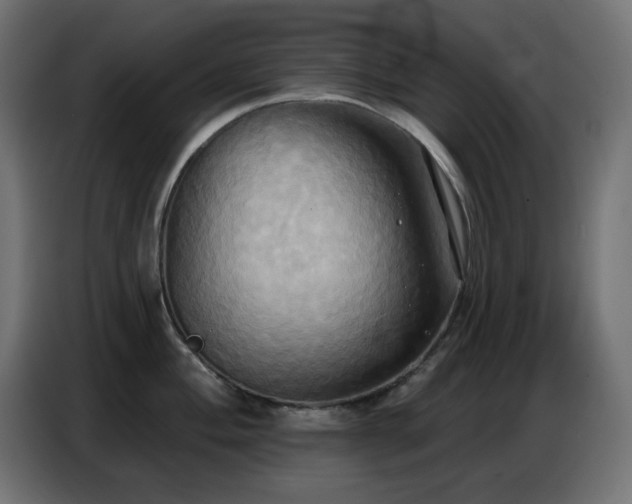 X0000086751004200704131147