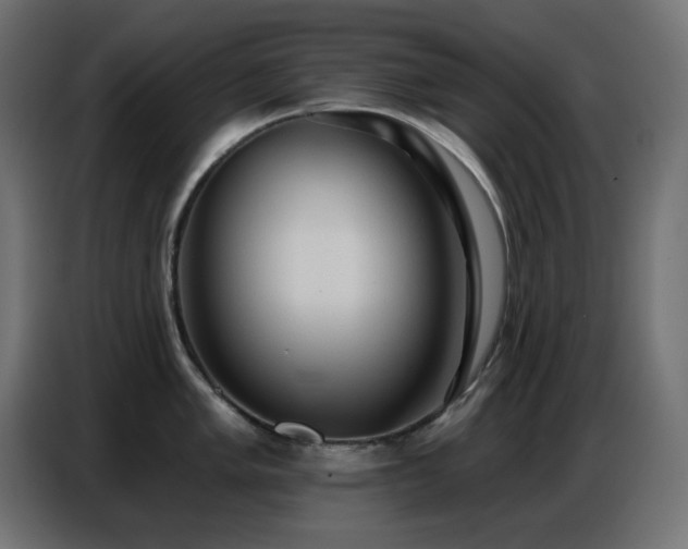 X0000086751005200704131147