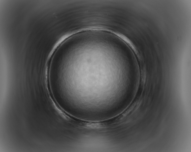 X0000086751006200704131147