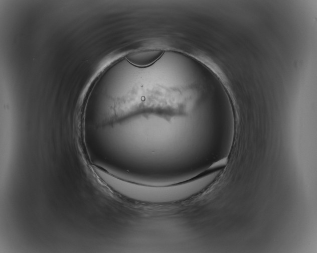 X0000086751008200704131147