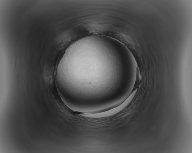X0000086751012200704131146