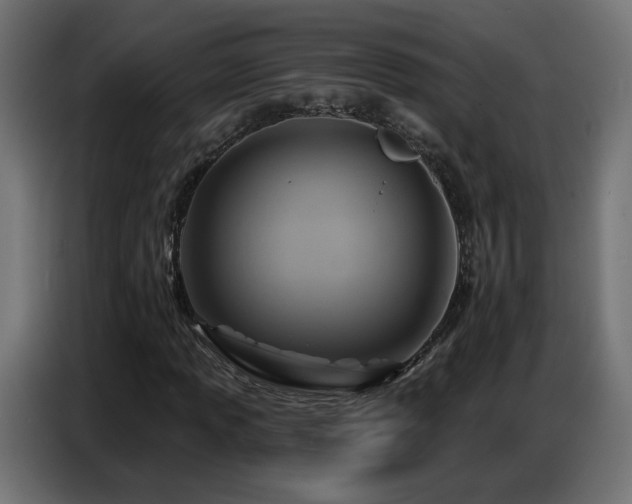 X0000086751013200704131146