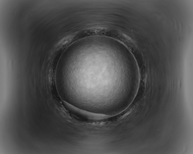 X0000086751014200704131146