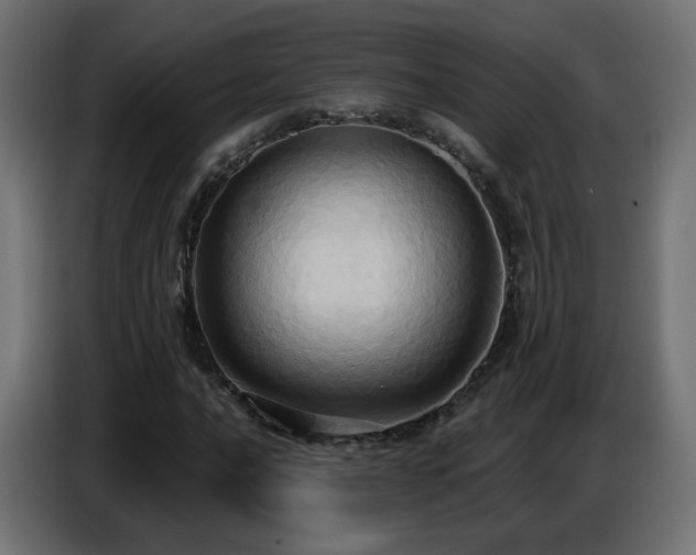 X0000086751016200704131146