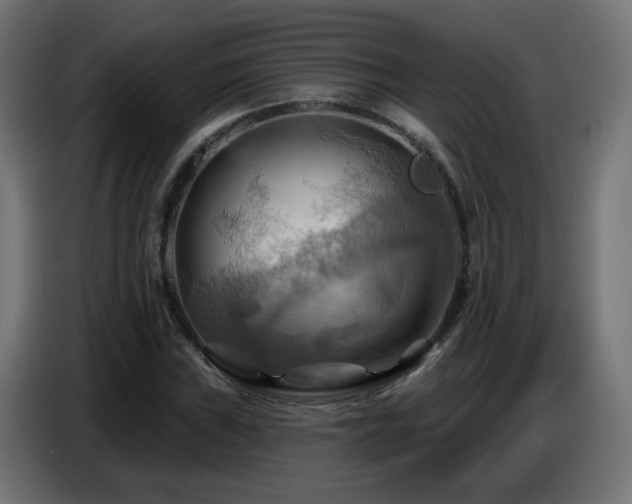 X0000086751019200704131146