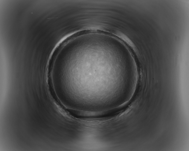 X0000086751020200704131146