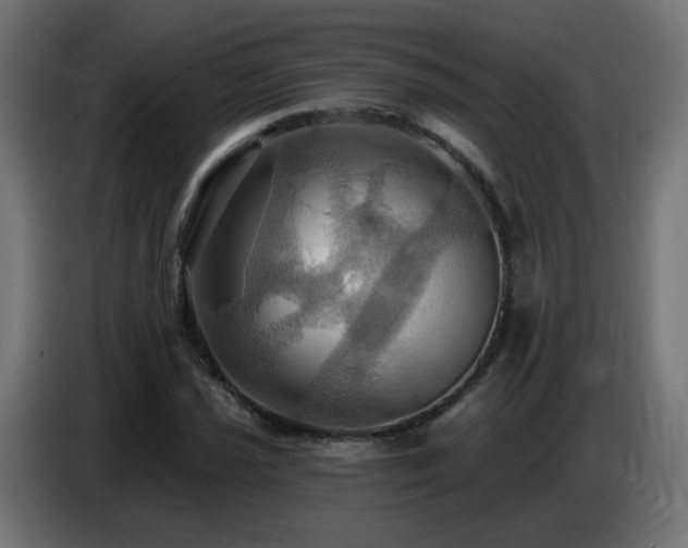 X0000086751021200704131146