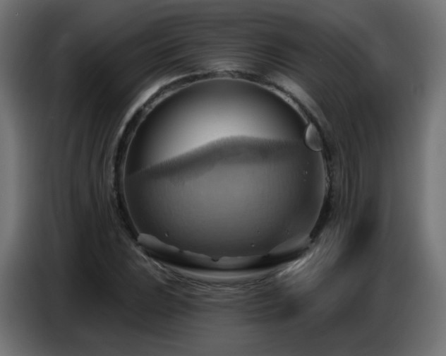X0000086751023200704131146