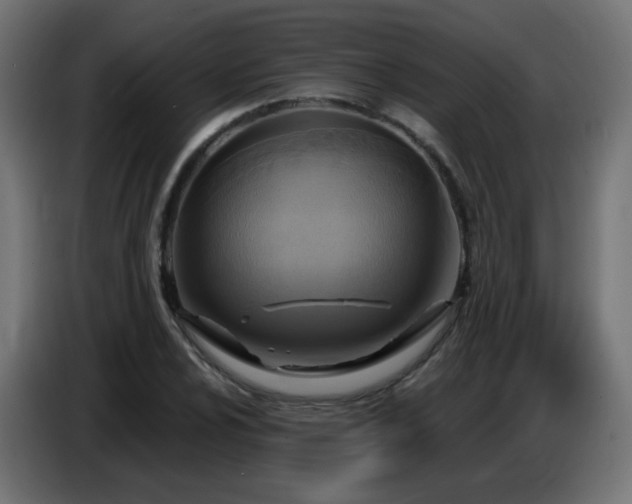 X0000086751024200704131146
