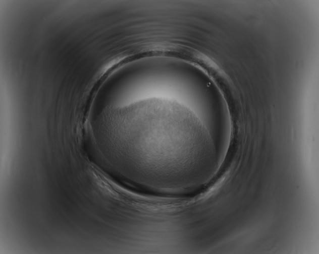 X0000086751025200704131146